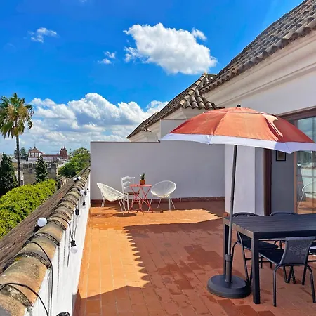 Ronda De La Luz - Ole Solutions חרז