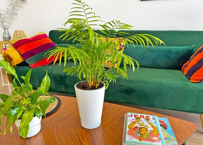 Ronda De La Luz - Ole Solutions * Jerez de la Frontera